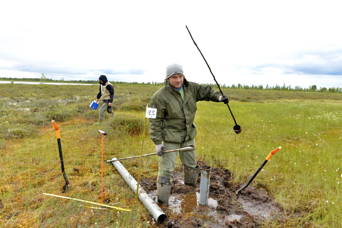 Ученые ТГУ уточнили запасы органического углерода в мерзлых болотах