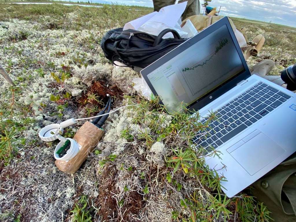 Почвоведы ТГУ оценили состояние вечной мерзлоты в торфяниках ЯНАО