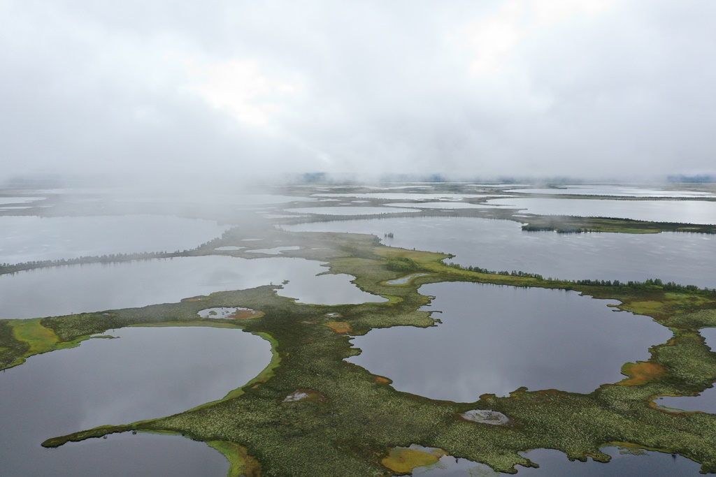Учёные выяснят, как Васюганское болото охлаждает атмосферу Земли